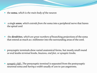  the soma, which is the main body of the neuron
 a single axon, which extends from the soma into a peripheral nerve that leaves
the spinal cord
 the dendrites, which are great numbers of branching projections of the soma
that extend as much as 1 millimeter into the surrounding areas of the cord.
 presynaptic terminals show varied anatomical forms, but mostly small round
or oval knobs terminal knobs, boutons, end-feet, or synaptic knobs.
 synaptic cleft : The presynaptic terminal is separated from the postsynaptic
neuronal soma and having a width usually of 200 to 300 angstroms.
 