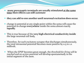  many presynaptic terminals are usually stimulated at the same
time their effects can still summate
 they can add to one another until neuronal excitation does occur.
 change in potential at any single point within the soma will cause the
potential to change everywhere inside the soma almost exactly
equally.
 This is true because of the very high electrical conductivity inside
the large neuronal cell body.
 Therefore, for each excitatory synapse that discharges simultaneously,
the total intrasomal potential becomes more positive by 0.5 to 1.0
millivolt.
 When the EPSP becomes great enough, the threshold for firing will be
reached and an action potential will develop spontaneously in the
initial segment of the axon.
 