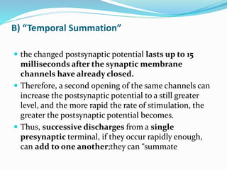 B) “Temporal Summation”
 the changed postsynaptic potential lasts up to 15
milliseconds after the synaptic membrane
channels have already closed.
 Therefore, a second opening of the same channels can
increase the postsynaptic potential to a still greater
level, and the more rapid the rate of stimulation, the
greater the postsynaptic potential becomes.
 Thus, successive discharges from a single
presynaptic terminal, if they occur rapidly enough,
can add to one another;they can “summate
 
