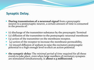 Synaptic Delay.
 During transmission of a neuronal signal from a presynaptic
neuron to a postsynaptic neuron, a certain amount of time is consumed
in the process of:
 (1) discharge of the transmitter substance by the presynaptic Terminal
 (2) diffusion of the transmitter to the postsynaptic neuronal membrane
 (3) action of the transmitter on the membrane receptor,
 (4) action of the receptor to increase the membrane permeability,
 (5) inward diffusion of sodium to raise the excitatory postsynaptic
potential to a high enough level to elicit an action potential.
 the synaptic delay: The minimal period of time required for all these
events to take place, even when large numbers of excitatory synapses
are stimulated simultaneously, is about 0.5 millisecond.
 