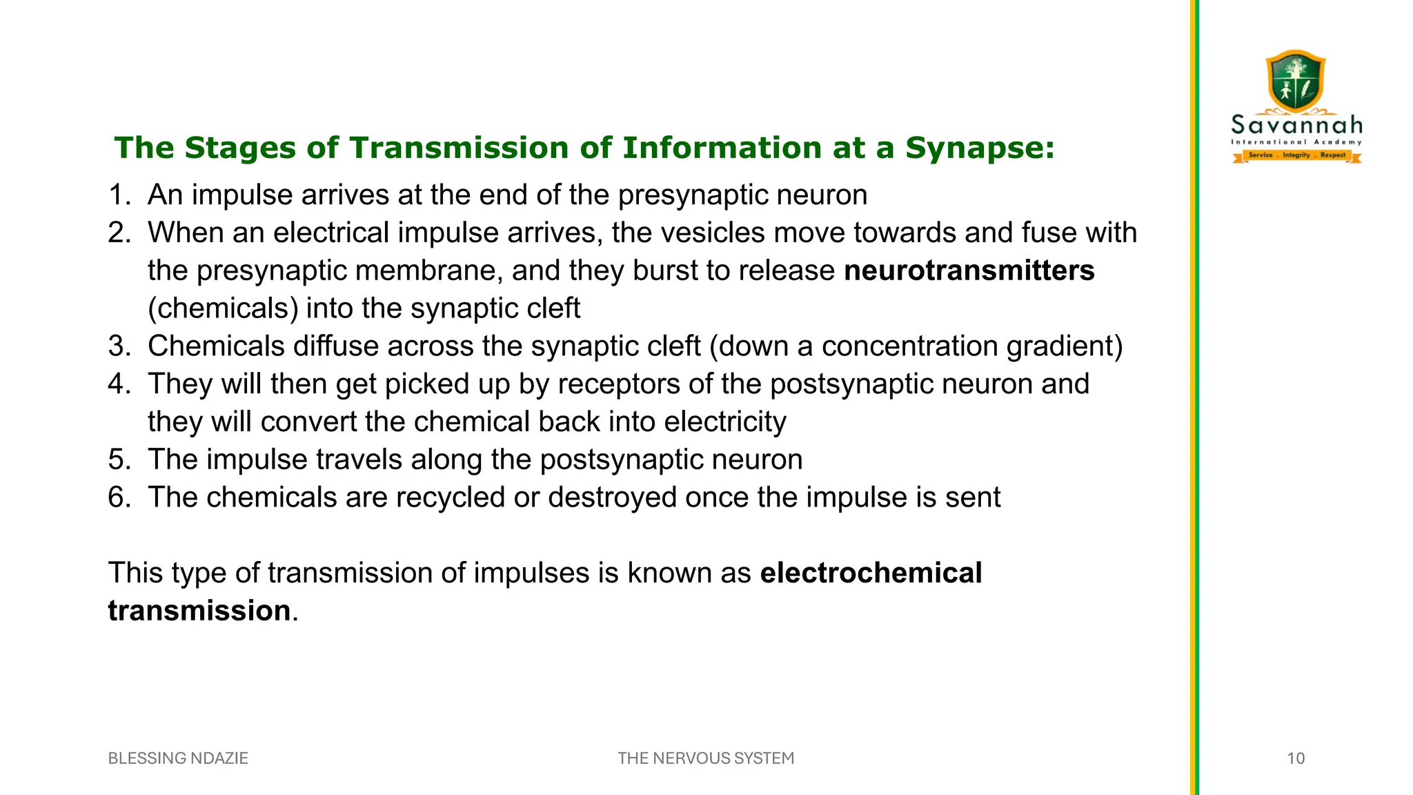 1. An impulse arrives at the end of the presynaptic neuron
2. When an electrical impulse arrives, the vesicles move towards and fuse with
the presynaptic membrane, and they burst to release neurotransmitters
(chemicals) into the synaptic cleft
3. Chemicals diffuse across the synaptic cleft (down a concentration gradient)
4. They will then get picked up by receptors of the postsynaptic neuron and
they will convert the chemical back into electricity
5. The impulse travels along the postsynaptic neuron
6. The chemicals are recycled or destroyed once the impulse is sent
This type of transmission of impulses is known as electrochemical
transmission.
The Stages of Transmission of Information at a Synapse:
BLESSING NDAZIE THE NERVOUS SYSTEM 10
 