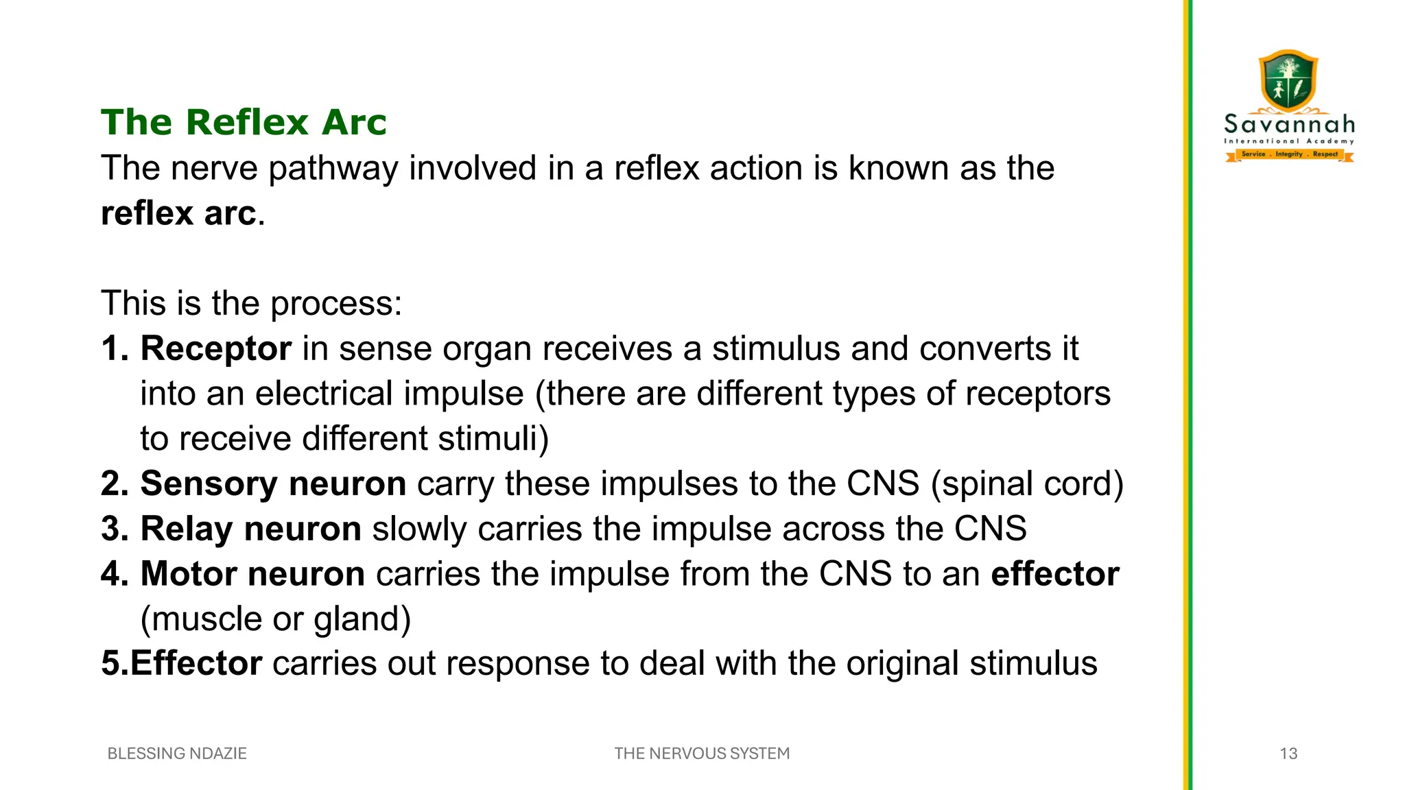 The Reflex Arc
The nerve pathway involved in a reflex action is known as the
reflex arc.
This is the process:
1. Receptor in sense organ receives a stimulus and converts it
into an electrical impulse (there are different types of receptors
to receive different stimuli)
2. Sensory neuron carry these impulses to the CNS (spinal cord)
3. Relay neuron slowly carries the impulse across the CNS
4. Motor neuron carries the impulse from the CNS to an effector
(muscle or gland)
5.Effector carries out response to deal with the original stimulus
BLESSING NDAZIE THE NERVOUS SYSTEM 13
 