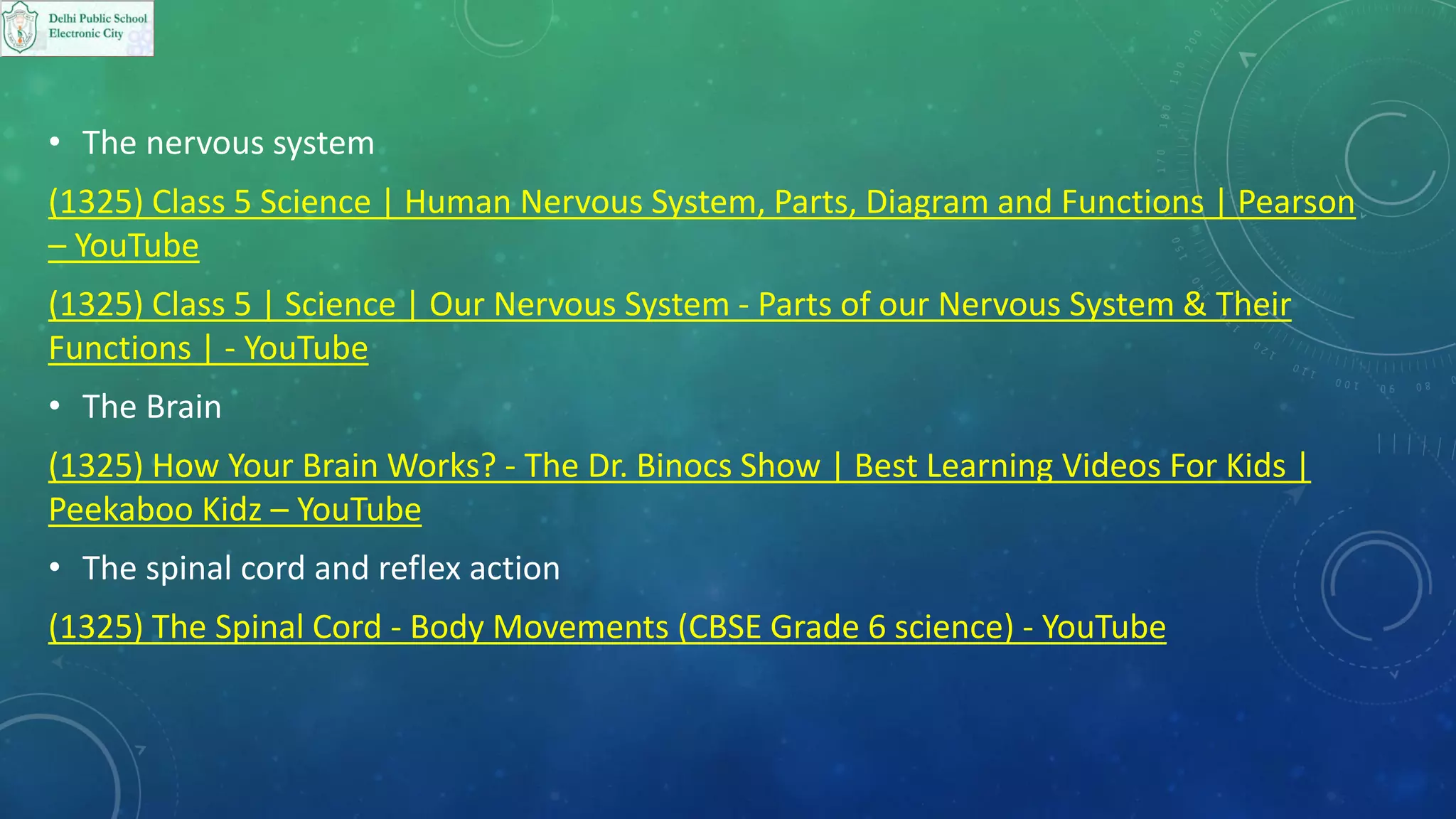 The Nervous System PPT.pdf