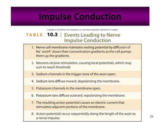 26
Impulse Conduction
 