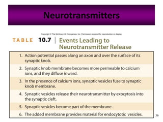 36
Neurotransmitters
 