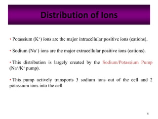 4
Distribution of Ions
• Potassium (K+) ions are the major intracellular positive ions (cations).
• Sodium (Na+) ions are the major extracellular positive ions (cations).
• This distribution is largely created by the Sodium/Potassium Pump
(Na+/K+ pump).
• This pump actively transports 3 sodium ions out of the cell and 2
potassium ions into the cell.
 