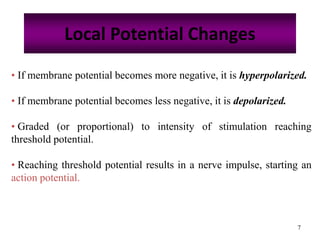 7
Local Potential Changes
• If membrane potential becomes more negative, it is hyperpolarized.
• If membrane potential becomes less negative, it is depolarized.
• Graded (or proportional) to intensity of stimulation reaching
threshold potential.
• Reaching threshold potential results in a nerve impulse, starting an
action potential.
 