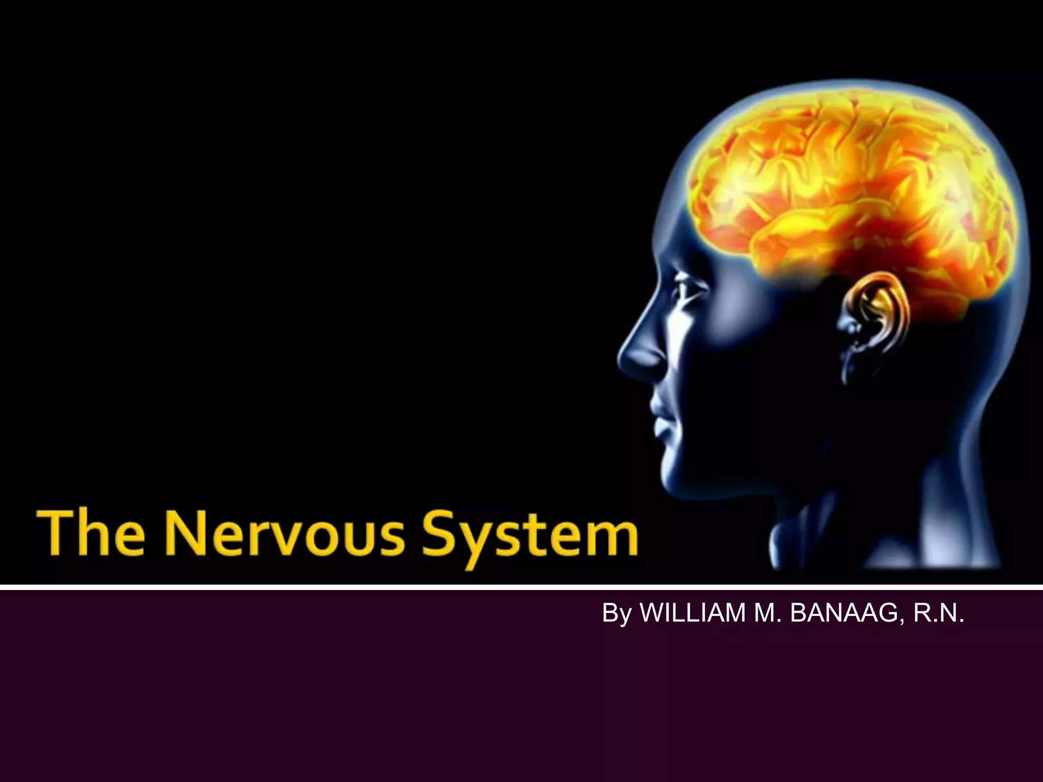 The Nervous SystemBy WILLIAM M. BANAAG, R.N.