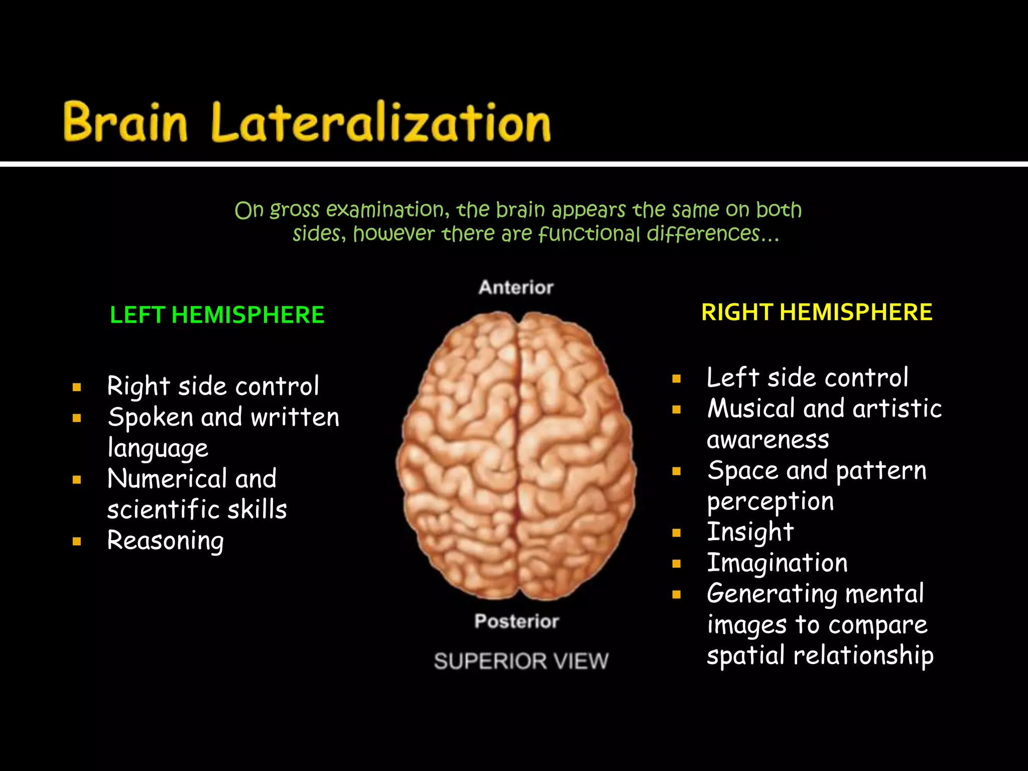 Brain LateralizationOn gross examination, the brain appears the same on both sides, however there are functional differences…Right hemisphereLeft hemisphereLeft side controlMusical and artistic awarenessSpace and pattern perceptionInsightImaginationGenerating mental images to compare spatial relationshipRight side control