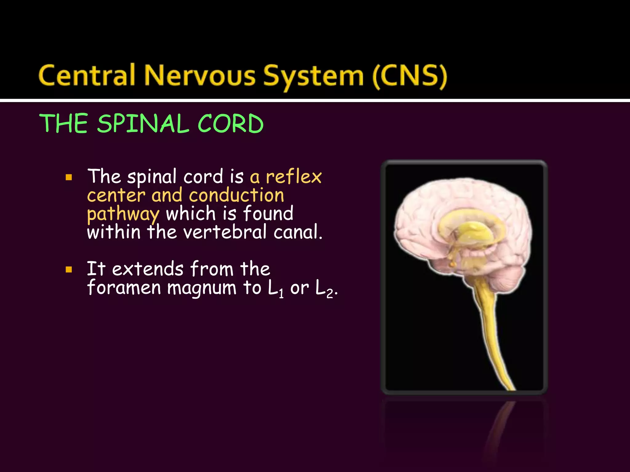 Long-term memory (LTM) has limitless capacityTransfer from STM to LTMFactors that affect transfer of memory from STM to LTM include:Emotional state– we learn best when we are alert, motivated, and aroused
