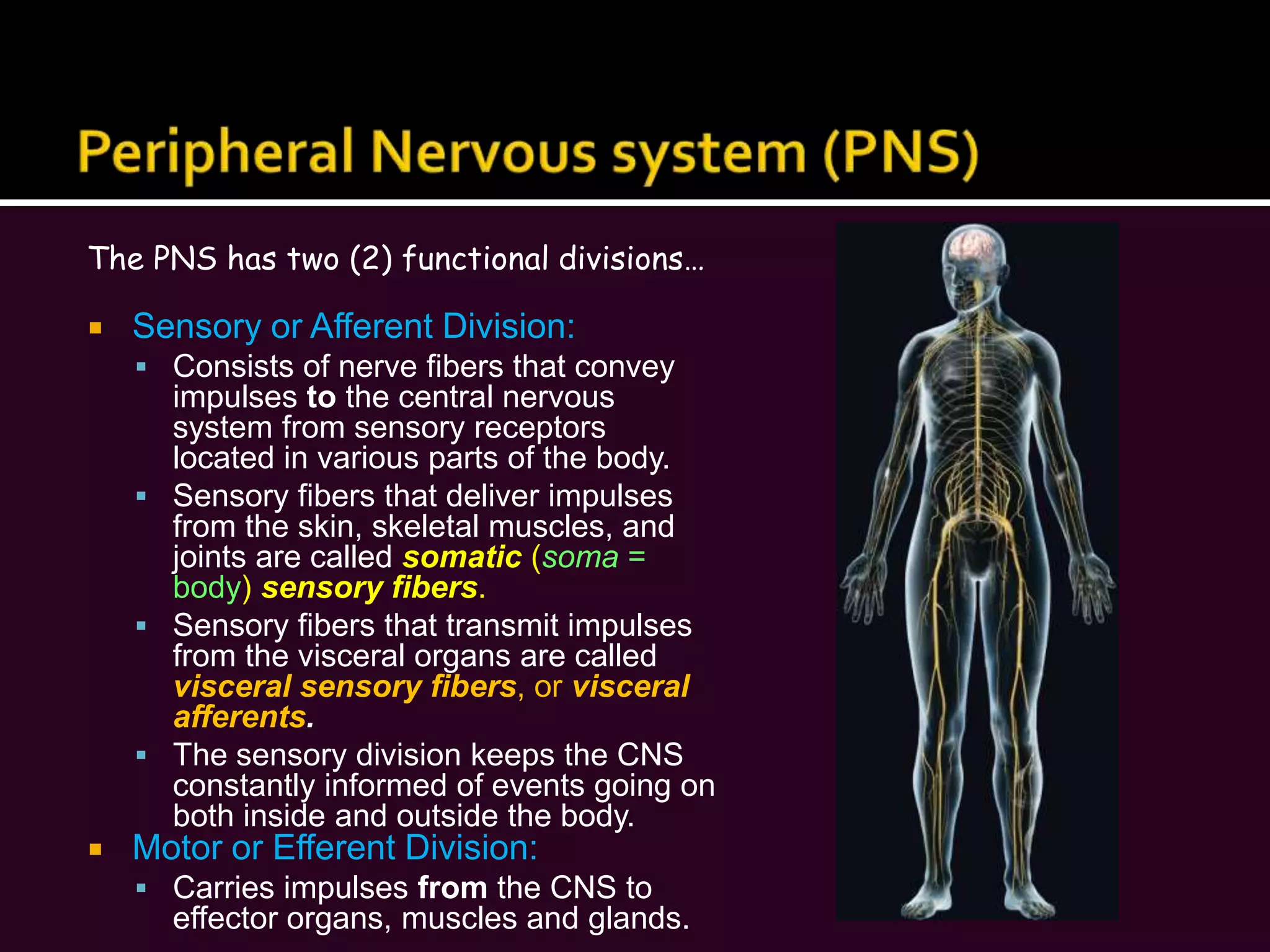 Association– associating new information with old memories in LTM enhances memoryCan you improve your ability to learn and remember new information?