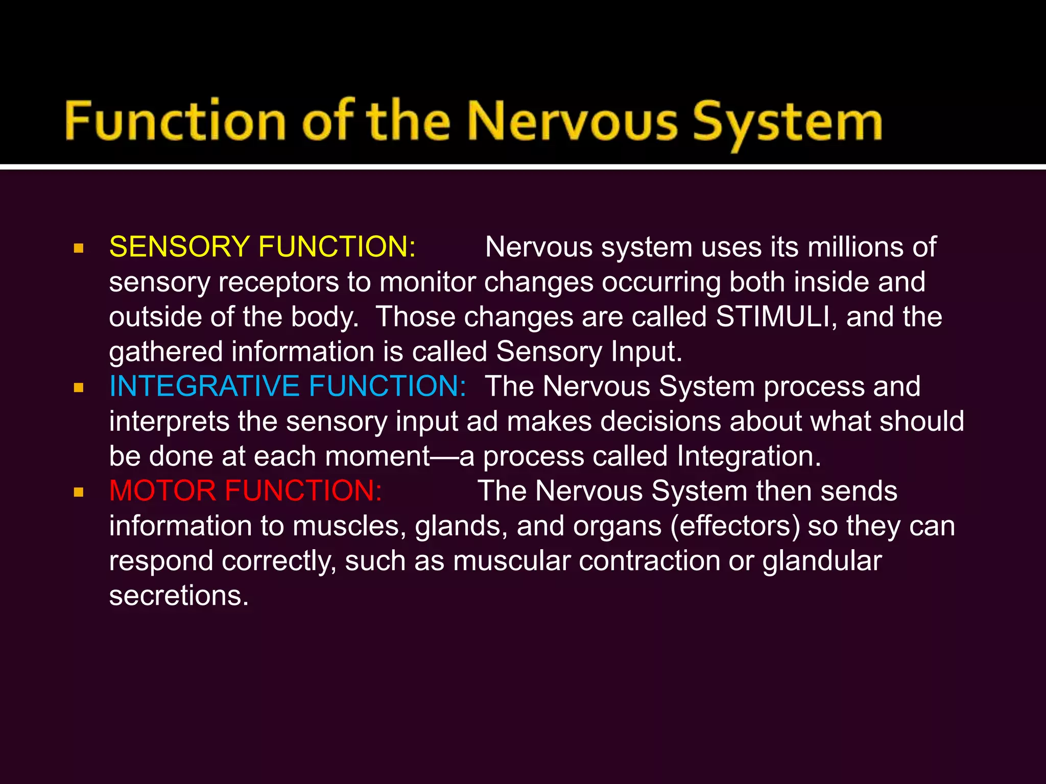 Function of the Nervous SystemSENSORY FUNCTION:	 Nervous system uses its millions of sensory receptors to monitor changes occurring both inside and outside of the body.  Those changes are called STIMULI, and the gathered information is called Sensory Input.INTEGRATIVE FUNCTION:	 The Nervous System process and interprets the sensory input ad makes decisions about what should be done at each moment—a process called Integration.MOTOR FUNCTION:	The Nervous System then sends information to muscles, glands, and organs (effectors) so they can respond correctly, such as muscular contraction or glandular secretions.