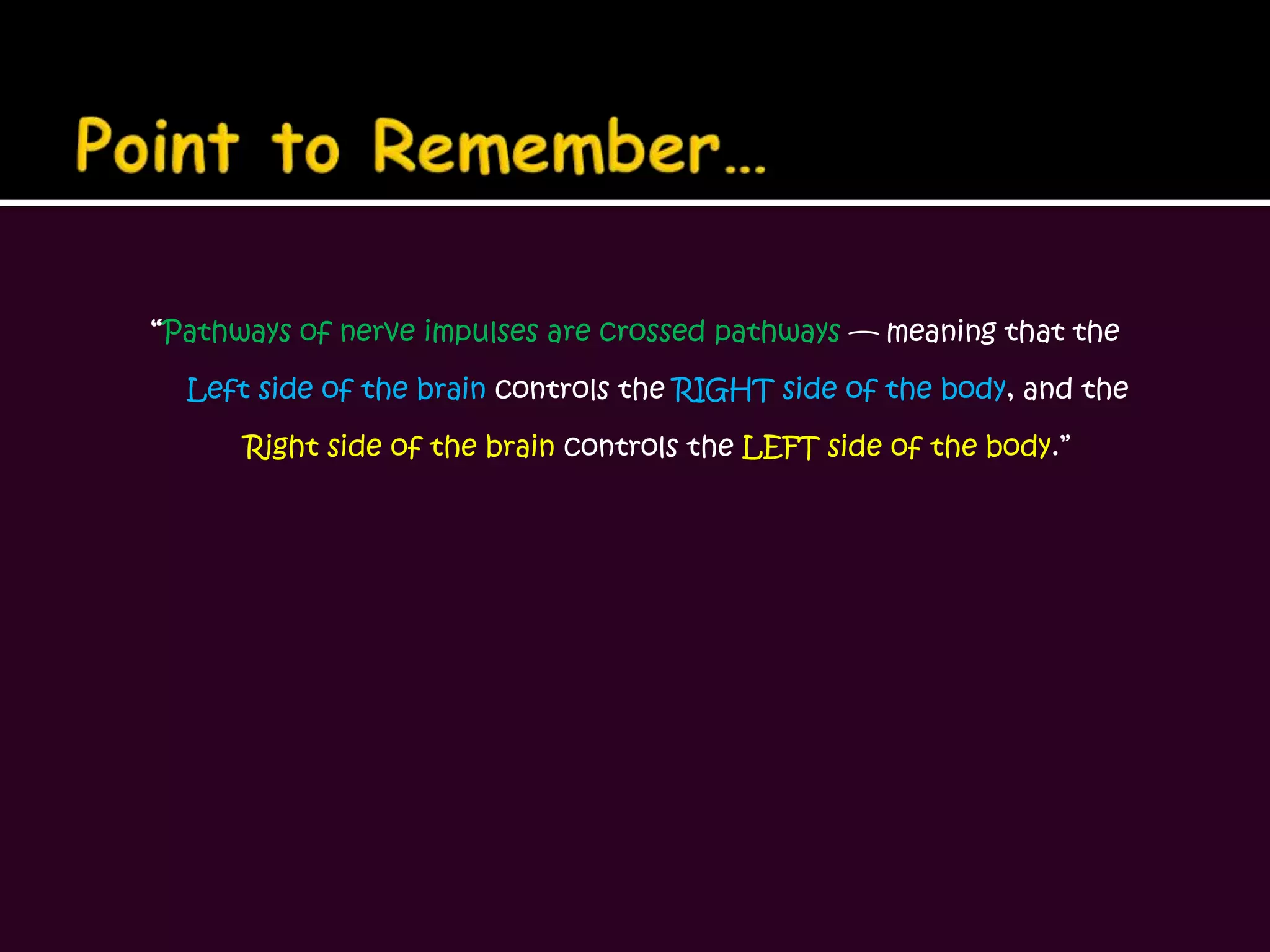 Point to Remember…“Pathways of nerve impulses are crossed pathways — meaning that the Left side of the brain controls the RIGHT side of the body, and the Right side of the brain controls the LEFT side of the body.”