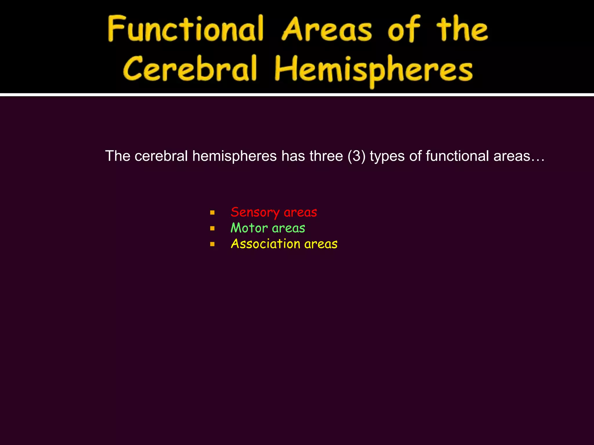 Functional Areas of the Cerebral HemispheresThe cerebral hemispheres has three (3) types of functional areas…Sensory areasMotor areasAssociation areas
