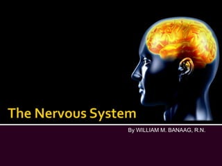 The Nervous System By WILLIAM M. BANAAG, R.N. 