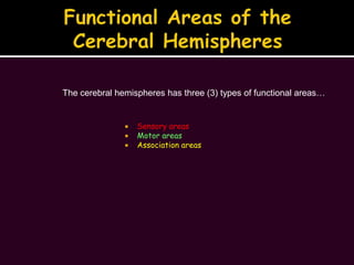 Functional Areas of the Cerebral Hemispheres<br />The cerebral hemispheres has three (3) types of functional areas…<br />S...
