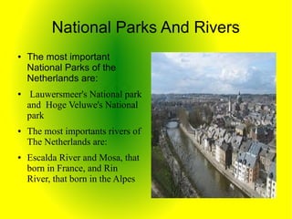 National Parks And Rivers
●   The most important
    National Parks of the
    Netherlands are:
●    Lauwersmeer's National park
    and Hoge Veluwe's National
    park
●   The most importants rivers of
    The Netherlands are:
●   Escalda River and Mosa, that
    born in France, and Rin
    River, that born in the Alpes
 