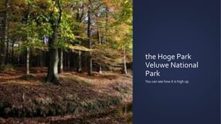 the Hoge Park
Veluwe National
Park
You can see how it is high up.
 