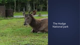 The Hodge
National park
 