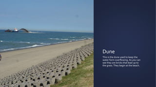 Dune
This is the dune used to keep the
water form overflowing. As you can
see they are bricks that lead up to
the grass.They begin at the beach.
 