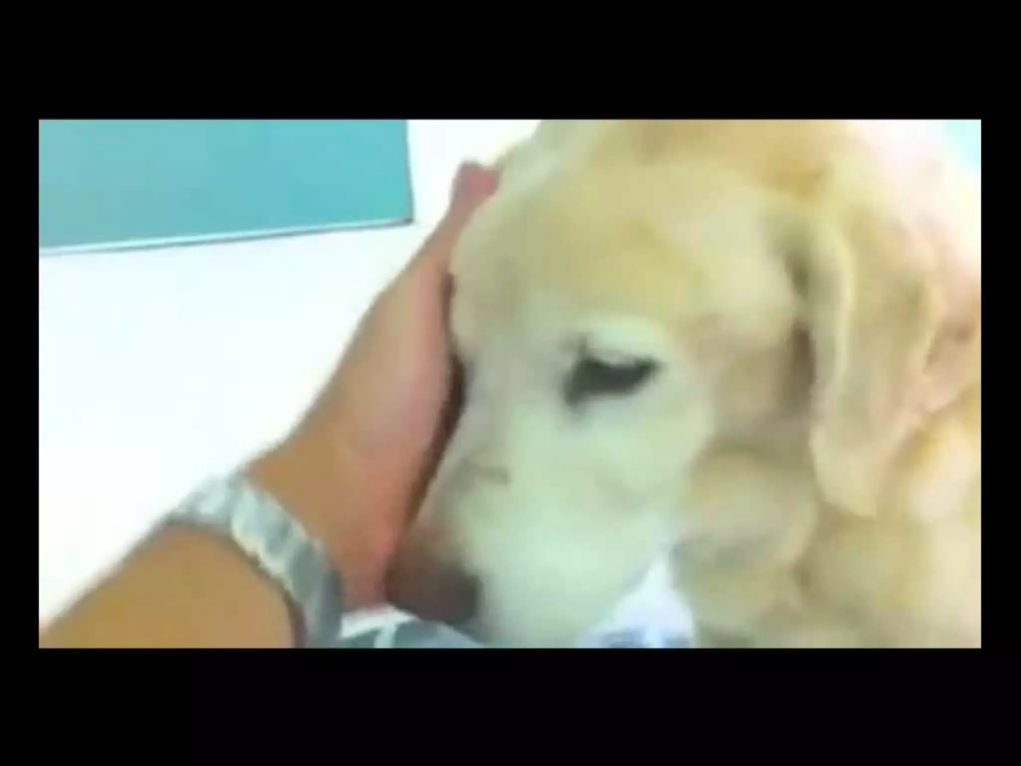 The Networked Leader #CPVPA