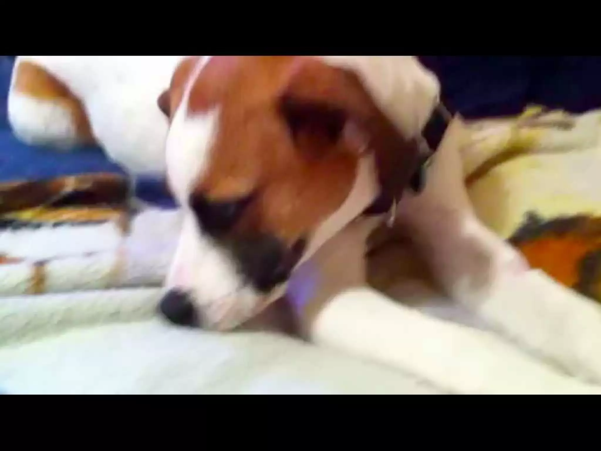 The Networked Leader #CPVPA