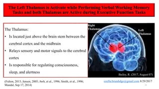 The Left Thalamus is Activate while Performing Verbal Working Memory
Tasks and both Thalamus are Active during Executive Function Tasks
(Fulton, 2013; Jensen, 2005; Awh, et al., 1996; Smith, et al., 1996; Mandal, Sep 17, 2014) 11
The Thalamus:
• Is located just above the brain stem between the
cerebral cortex and the midbrain
• Relays sensory and motor signals to the cerebral
cortex
• Is responsible for regulating consciousness,
sleep, and alertness
Left
Thalamus
Bailey, R. (2017, August 07)
Right
Thalamus
 