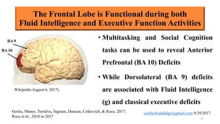 The Frontal Lobe is Functional during both
Fluid Intelligence and Executive Function Activities
• Multitasking and Social Cognition
tasks can be used to reveal Anterior
Prefrontal (BA 10) Deficits
• While Dorsolateral (BA 9) deficits
are associated with Fluid Intelligence
(g) and classical executive deficits
15
Goitia, Manes, Torralva, Sigman, Duncan, Cetkovich, & Roca, 2017; Roca et al., 2010 in 2017
BA 10
Wikipedia August 6, 2017)
BA 9
 
