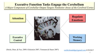 Executive Function Tasks Engage the Cerebellum
A Major Component of Cerebellar Output Targets Nonmotor Areas of the Cerebral Cortex
16
Attention
Executive
Control
Working
Memory
(Strick, Dum, & Fiez, 2009; Glickstein 2007, Timmann & Daum 2007)
Regulate
Emotions
 