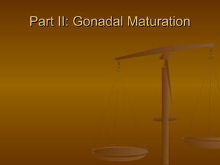 Part II: Gonadal MaturationPart II: Gonadal Maturation
 