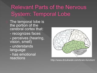The temporal lobe is
the portion of the
cerebral cortex that:
- recognizes faces
- perceives (hearing,
vision, smell)
- understands
language
- has emotional
reactions http://www.drzukiwski.com/brain-function/
 
