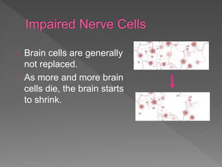 Brain cells are generally
not replaced.
As more and more brain
cells die, the brain starts
to shrink.
 