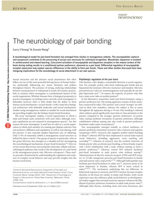 THE SEXUAL BRAIN
                                                                          REVIEW




                                                                          The neurobiology of pair bonding
© 2004 Nature Publishing Group http://www.nature.com/natureneuroscience




                                                                          Larry J Young1 & Zuoxin Wang2

                                                                          A neurobiological model for pair-bond formation has emerged from studies in monogamous rodents. The neuropeptides oxytocin
                                                                          and vasopressin contribute to the processing of social cues necessary for individual recognition. Mesolimbic dopamine is involved
                                                                          in reinforcement and reward learning. Concurrent activation of neuropeptide and dopamine receptors in the reward centers of the
                                                                          brain during mating results in a conditioned partner preference, observed as a pair bond. Differential regulation of neuropeptide
                                                                          receptor expression may explain species differences in the ability to form pair bonds. These and other studies discussed here have
                                                                          intriguing implications for the neurobiology of social attachment in our own species.


                                                                          Sexual attraction and the selective social attachments that often          Peptidergic regulation of the pair bond
                                                                          follow are two of the most powerful driving forces of human behav-         Like humans, voles display a remarkable diversity in social organiza-
                                                                          ior, profoundly influencing art, music, literature and politics            tion. For example, prairie voles form enduring pair bonds and are
                                                                          throughout history. The presence of strong, enduring relationships         biparental, but montane (Microtus montanus) and meadow (Microtus
                                                                          between sexual partners is widespread in nearly all societies, particu-    pennsylvanicus) voles are nonmonogamous and typically do not dis-
                                                                          larly in societies where monogamy is a predominant feature of the          play biparental care5–7. In nature, the majority of prairie voles that
                                                                          social organization. Whether humans have a biological propensity to        lose a mate never take on another partner8.
                                                                          practice monogamy (or perhaps more correctly, serial monogamy) is             In the laboratory, researchers study pair-bond formation using a
                                                                          debatable; however, there is little doubt that the ability to form         partner-preference test. The testing apparatus consists of three cham-
                                                                          intense social attachments—or pair bonds—with a mate has a biolog-         bers connected by tubes. The ‘partner’ and a novel ‘stranger’ are teth-
                                                                          ical architecture with definable molecular and neural mechanisms.          ered in their own chambers, whereas the subject is free to move
                                                                          Studies using monogamous rodents as models for social attachment           throughout the apparatus during a 3-h test. Pair bonding is inferred
                                                                          are providing insights into the biology of pair-bond formation.            when subjects spend significantly more time in close proximity to the
                                                                             The term ‘monogamy’ implies a social organization in which a            partner compared to the stranger (partner preference). In prairie
                                                                          male and female mate exclusively with each other, although extra-          voles, mating facilitates formation of partner preference, although
                                                                          pair copulations are not unusual in monogamous species1. For this          cohabitation without mating may also result in partner-preference
                                                                          reason, the term ‘monogamy’ is used here to refer to a social organi-      formation under some circumstances9.
                                                                          zation in which each member of a mating pair displays selective (but          Two neuropeptides emerged initially as critical mediators of
                                                                          not exclusive) affiliation and copulation, as well as nest sharing, with   partner-preference formation in prairie voles: oxytocin and arginine
                                                                          the partner; it also typically implies biparental care of offspring.       vasopressin (AVP). Oxytocin also regulates mother-infant bonding
                                                                          Only 3–5% of mammals exhibit a monogamous social structure as              in sheep10, whereas AVP has been implicated in several male-typical
                                                                          defined by these criteria2. One group of species in particular, voles in   social behaviors, including aggression, scent marking and
                                                                          the genus Microtus, has emerged as a valuable tool for investigating       courtship11,12. Infusion of oxytocin into the cerebral ventricles of
                                                                          the neurobiological mechanisms of pair-bond formation3,4. Here we          female prairie voles accelerates pair bonding, as these females require
                                                                          review recent discoveries concerning the molecular, cellular and neu-      only a brief cohabitation with a male, without mating, to form a
                                                                          robiological pathways that result in the development of a pair bond        partner preference13. Likewise, central AVP infusion facilitates
                                                                          in the monogamous prairie vole (Microtus ochrogaster). These stud-         pair-bond formation in male prairie voles without mating14.
                                                                          ies provide a framework for understanding the regulation and evolu-        Administration of selective oxytocin receptor (OTR) and AVP recep-
                                                                          tion of complex social behavior and may provide insights into the          tor 1a (V1aR) antagonists prevents pair-bond formation in female
                                                                          human social brain.                                                        and male prairie voles, respectively13–16. Although both peptides may
                                                                                                                                                     facilitate pair-bond formation in either sex16, oxytocin seems to be
                                                                                                                                                     more important in females, whereas AVP is more critical in
                                                                          1Center for Behavioral Neuroscience, Department of Psychiatry and          males14,15,17. The mechanism underlying this sex difference in
                                                                          Behavioral Sciences, and Yerkes National Primate Research Center, Emory    behavioral response to oxytocin and AVP is unclear, because receptor
                                                                          University, Atlanta, Georgia 30322, USA. 2Department of Psychology and     densities in the brain are similar in males and females. Early social
                                                                          Program in Neuroscience, Florida State University, Tallahassee, Florida    experience may also influence adult social behavior, as developmen-
                                                                          32306, USA.                                                                tal studies suggest that neonatal oxytocin exposure enhances the like-
                                                                          Correspondence should be addressed to L.J.Y. (lyoun03@emory.edu).          lihood of partner preference formation in adult male prairie voles18.
                                                                          Published online 26 September 2004; doi:10.1038/nn1327                     Although other factors, including stress and stress hormones, also


                                                                          1048                                                                        VOLUME 7 | NUMBER 10 | OCTOBER 2004 NATURE NEUROSCIENCE
 