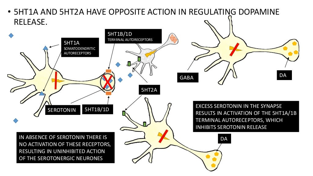Psychosynthesis institute picture