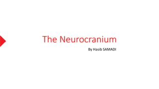 The Neurocranium
By Hasib SAMADI
 