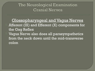 Glossopharyngeal and Vagus Nerves
 Afferent (IX) and Efferent (X) components for
the Gag Reflex
 Vagus Nerve also does all parasympathetics
from the neck down until the mid-transverse
colon
 