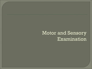 Motor and Sensory
      Examination
 