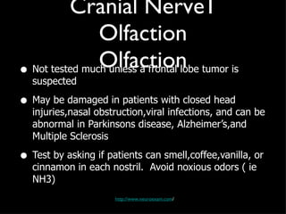 Cranial Nerve1 Olfaction Olfaction Not tested much unless a frontal lobe tumor is suspected May be damaged in patients with closed head injuries,nasal obstruction,viral infections, and can be abnormal in Parkinsons disease, Alzheimer’s,and Multiple Sclerosis  Test by asking if patients can smell,coffee,vanilla, or cinnamon in each nostril.  Avoid noxious odors ( ie NH3) http://www.neuroexam.com / 