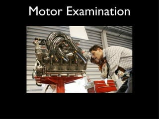 Motor Examination 