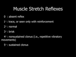 Muscle Stretch Reflexes 0  : absent reflex   1 +  : trace, or seen only with reinforcement 2 +  : normal 3 +  : brisk 4 +  : nonsustained clonus (i.e., repetitive vibratory movements) 5 +  : sustained clonus 