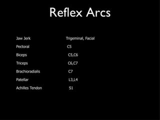 Reflex Arcs Jaw Jerk  Trigeminal, Facial Pectoral  C5 Biceps  C5,C6 Triceps  C6,C7 Brachioradialis  C7 Patellar  L3,L4 Achilles Tendon  S1 