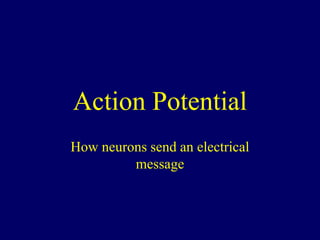 Action Potential
How neurons send an electrical
message
 