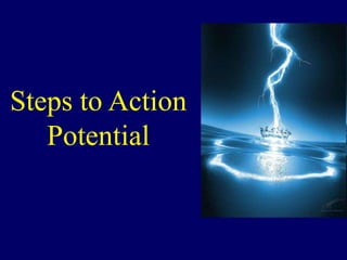 Steps to Action
Potential
 
