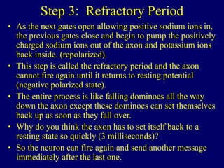 Step 3: Refractory Period
• As the next gates open allowing positive sodium ions in,
the previous gates close and begin to pump the positively
charged sodium ions out of the axon and potassium ions
back inside. (repolarized).
• This step is called the refractory period and the axon
cannot fire again until it returns to resting potential
(negative polarized state).
• The entire process is like falling dominoes all the way
down the axon except these dominoes can set themselves
back up as soon as they fall over.
• Why do you think the axon has to set itself back to a
resting state so quickly (3 milliseconds)?
• So the neuron can fire again and send another message
immediately after the last one.
 