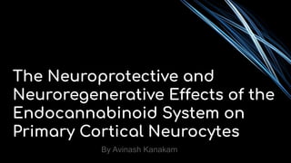 The Neuroprotective and
Neuroregenerative Effects of the
Endocannabinoid System on
Primary Cortical Neurocytes
By Avinash Kanakam
 