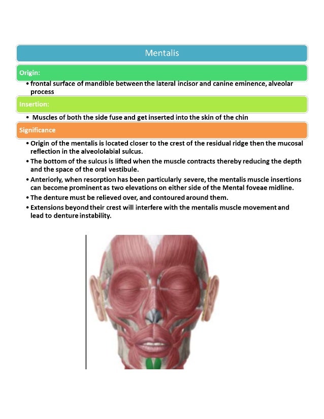The neutral zone concept in complete denture final