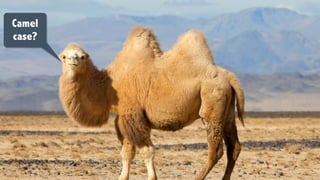 Camel
case?
 