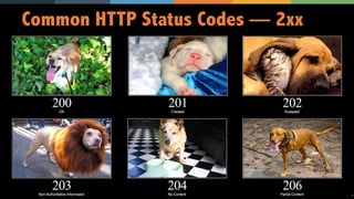 19
Common HTTP Status Codes — 2xx
 