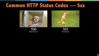 40
Common HTTP Status Codes — 5xx
 
