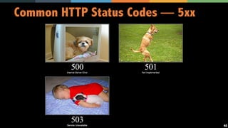 40
Common HTTP Status Codes — 5xx
 